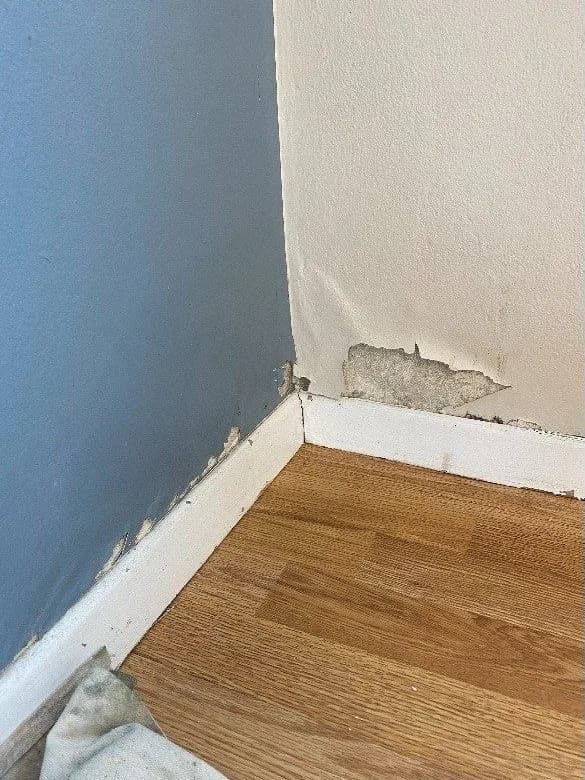 An interior corner with a dull blue wall, cracked and flaking plaster above the skirting, and a chipped skirting board.
